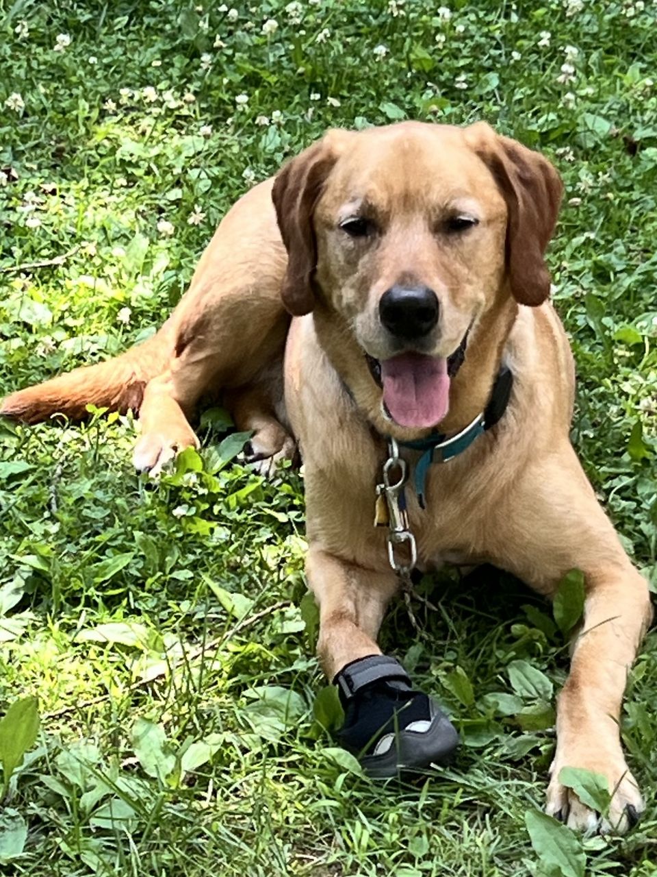 Rocky Camping