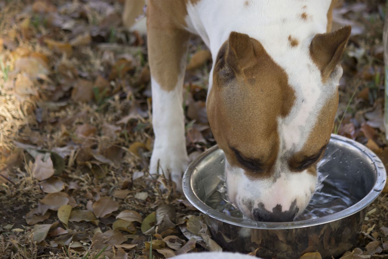 Staying Hydration